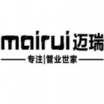 ООО CangZhou Mairui Pipe Fitting Co.,Ltd
